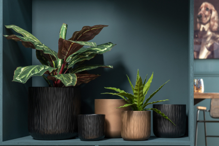 SALE % - Planta in ghiveci, Plastic, Verde, 15x15x60 cm