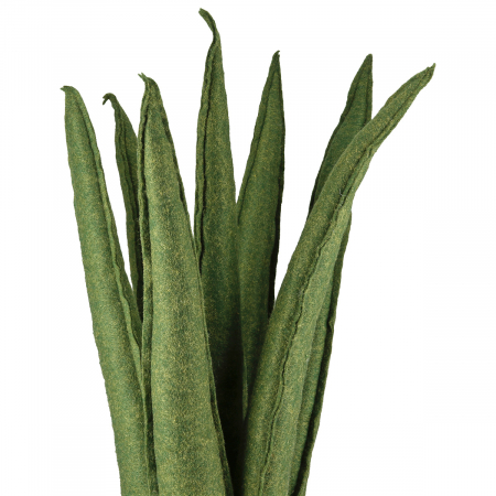 Plantă în ghiveci, Sansevieria, "Feltro", Fetru, verde, PU 2, H 60 cm, D 14 cm [1]