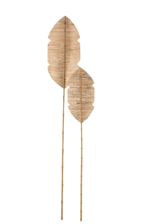 Planta, Lemn, Natural, 35x2x202 [1]