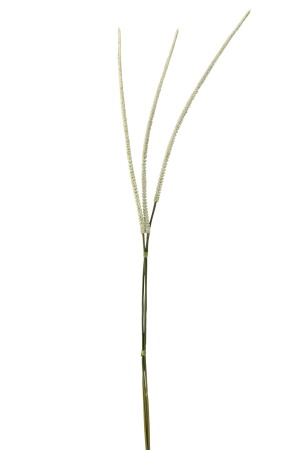 SALE % - Planta, Material sintetic, Alb, 5x4x119