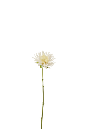 SALE % - Planta, Material sintetic, Alb, 7x6x40.5