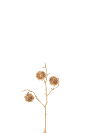 SALE % - Planta, Material sintetic, Auriu, 11x4x31