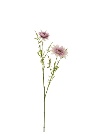 Planta, Material sintetic, Mov, 13x13x55 [1]