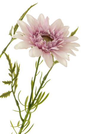 Planta, Material sintetic, Mov, 13x13x55 [2]