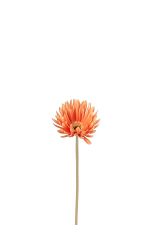 SALE % - Planta, Material sintetic, Portocaliu, 10x10x24