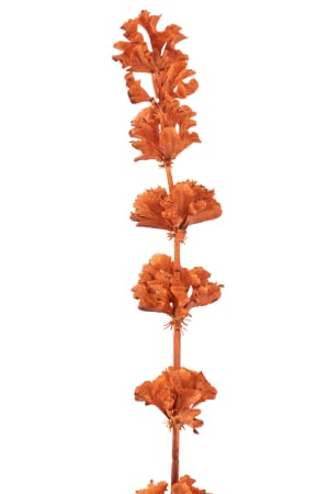 Planta, Material sintetic, Portocaliu, 5x5x100 [1]