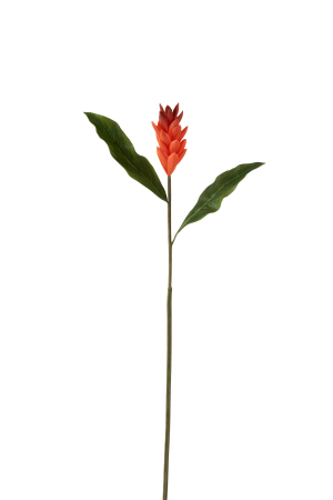 SALE % - Planta, Material sintetic, Portocaliu, 7x7x94