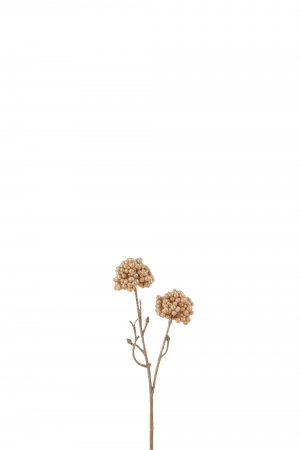 SALE % - Planta, Material sintetic, Portocaliu, 9x5x25.5