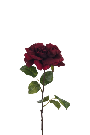 SALE % - Planta, Material sintetic, Rosu, 20x9x57.5