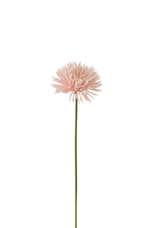 SALE % - Planta, Material sintetic, Roz, 10x8.5x58