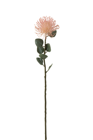 SALE % - Planta, Material sintetic, Roz, 13x13x72