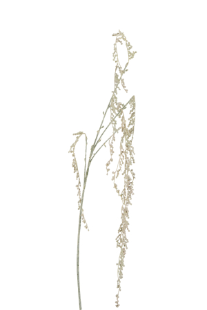 SALE % - Planta, Material sintetic, Roz, 23x16x99