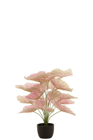 SALE % - Planta, Material sintetic, Roz, 25x25x57