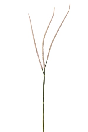 Plante artificiale si uscate - Planta, Material sintetic, Roz, 8x8x119