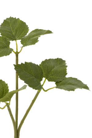 Planta, Material sintetic, Verde, 15x5x30 [1]