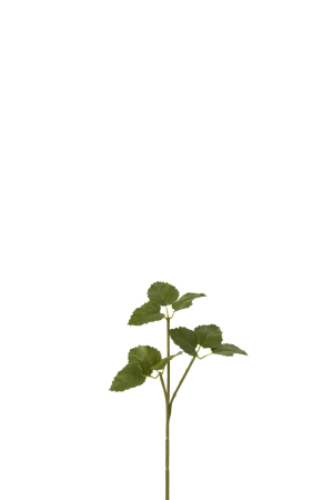SALE % - Planta, Material sintetic, Verde, 15x5x30
