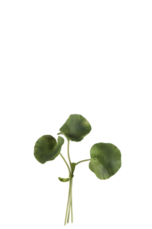 SALE % - Planta, Material sintetic, Verde, 16x12x23