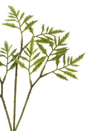 Planta, Material sintetic, Verde, 18x18x38 [1]