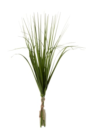 DECORATIUNI - Planta, Material sintetic, Verde, 20x4x47