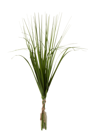 SALE % - Planta, Material sintetic, Verde, 20x4x47