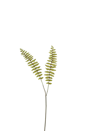 SALE % - Planta, Material sintetic, Verde, 22x1x50