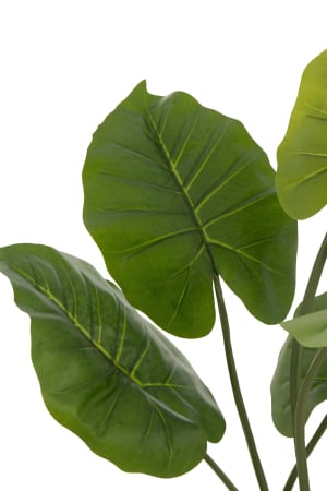 Planta, Material sintetic, Verde, 23x16x78 [1]