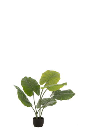 Decoratiuni - Planta, Material sintetic, Verde, 23x16x78