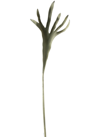 SALE % - Planta, Material sintetic, Verde, 25x2x91
