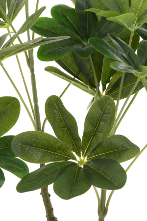 Planta, Material sintetic, Verde, 27x27x110 [2]