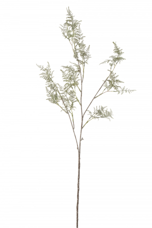 SALE % - Planta, Material sintetic, Verde, 30x4x90
