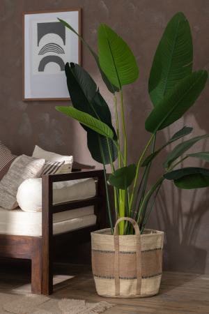 Planta, Material sintetic, Verde, 44x44x238 [3]