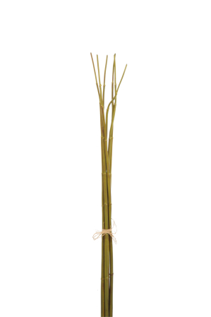 SALE % - Planta, Material sintetic, Verde, 4x4x76