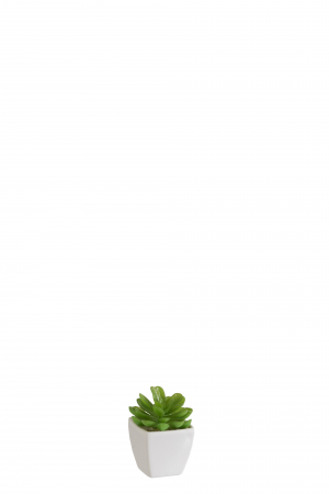 SALE % - Planta, Material sintetic, Verde, 5.5x5.5x9