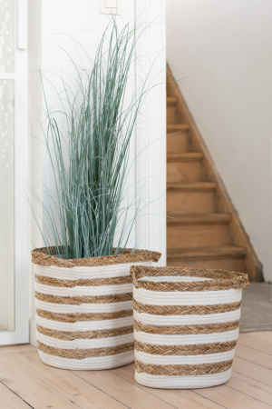 SALE % - Planta, Material sintetic, Verde, 50x50x180