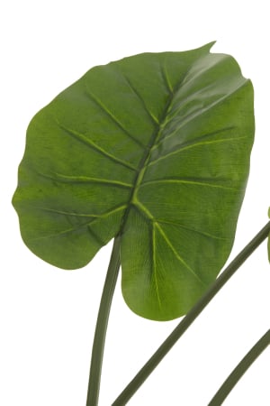 Planta, Material sintetic, Verde, 60x60x123 [1]