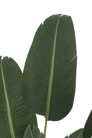 Planta, Material sintetic, Verde, 60x60x189 [1]