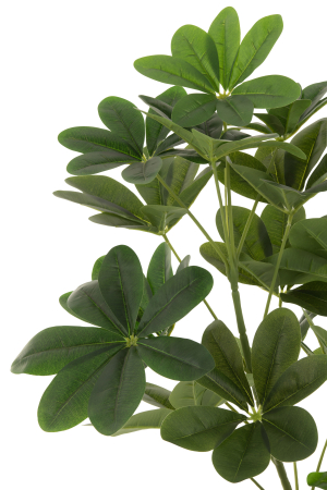 Planta, Material sintetic, Verde, 64x30x157 [2]