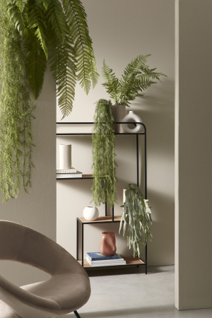 Planta suspendata, Gregor, H147CM [1]