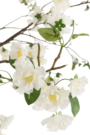 Planta, Textil, Alb, 110x110x240 [1]