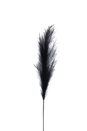 Ramura, Plumeau, Plastic, Negru M [1]