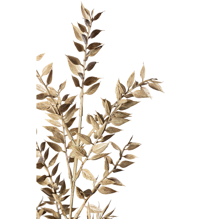 IN STOC - RUSCUS, Floare artificiala, maro, L. 10 cm, W. 10 cm, H. 78 cm