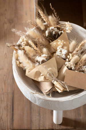 SALE % - Set 2 buc plante uscate, Fibre naturale, Natural, 10x10x20
