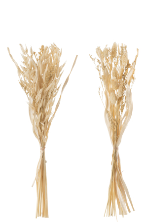 Set 2 buc plante uscate, Fibre naturale, Natural, 12x2x42 [1]