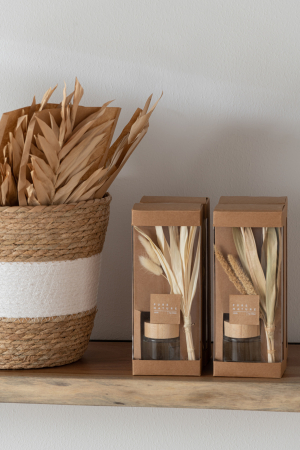 Set 2 buc plante uscate, Fibre naturale, Natural, 14x1x43 [3]