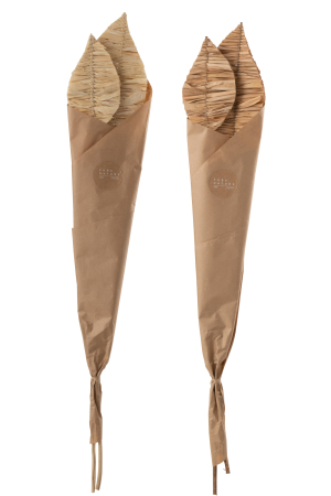 Set 2 buc plante uscate, Fibre naturale, Natural, 15x4x95 [1]