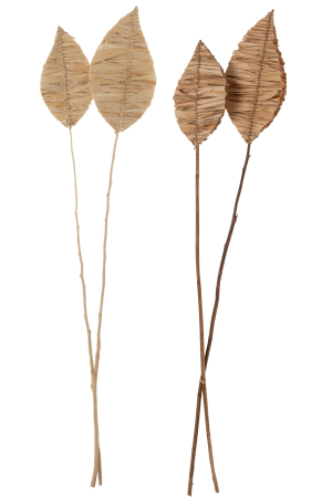 Set 2 buc plante uscate, Fibre naturale, Natural, 15x4x95 [2]