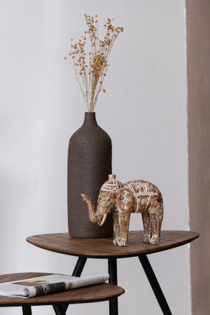 SALE % - Set 2 buc plante uscate, Fibre naturale, Natural, 18x4x55
