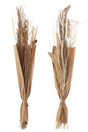 Set 2 buc plante uscate, Fibre naturale, Natural, 20x5x145 [1]