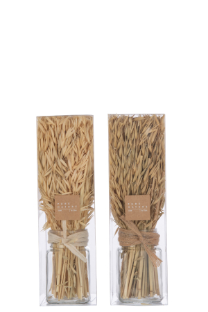 Set 2 buc plante uscate, Fibre naturale, Natural, 7.3x7.3x30 [2]