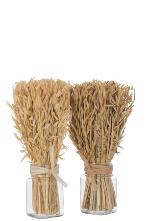 Set 2 buc plante uscate, Fibre naturale, Natural, 7.3x7.3x30 [2]